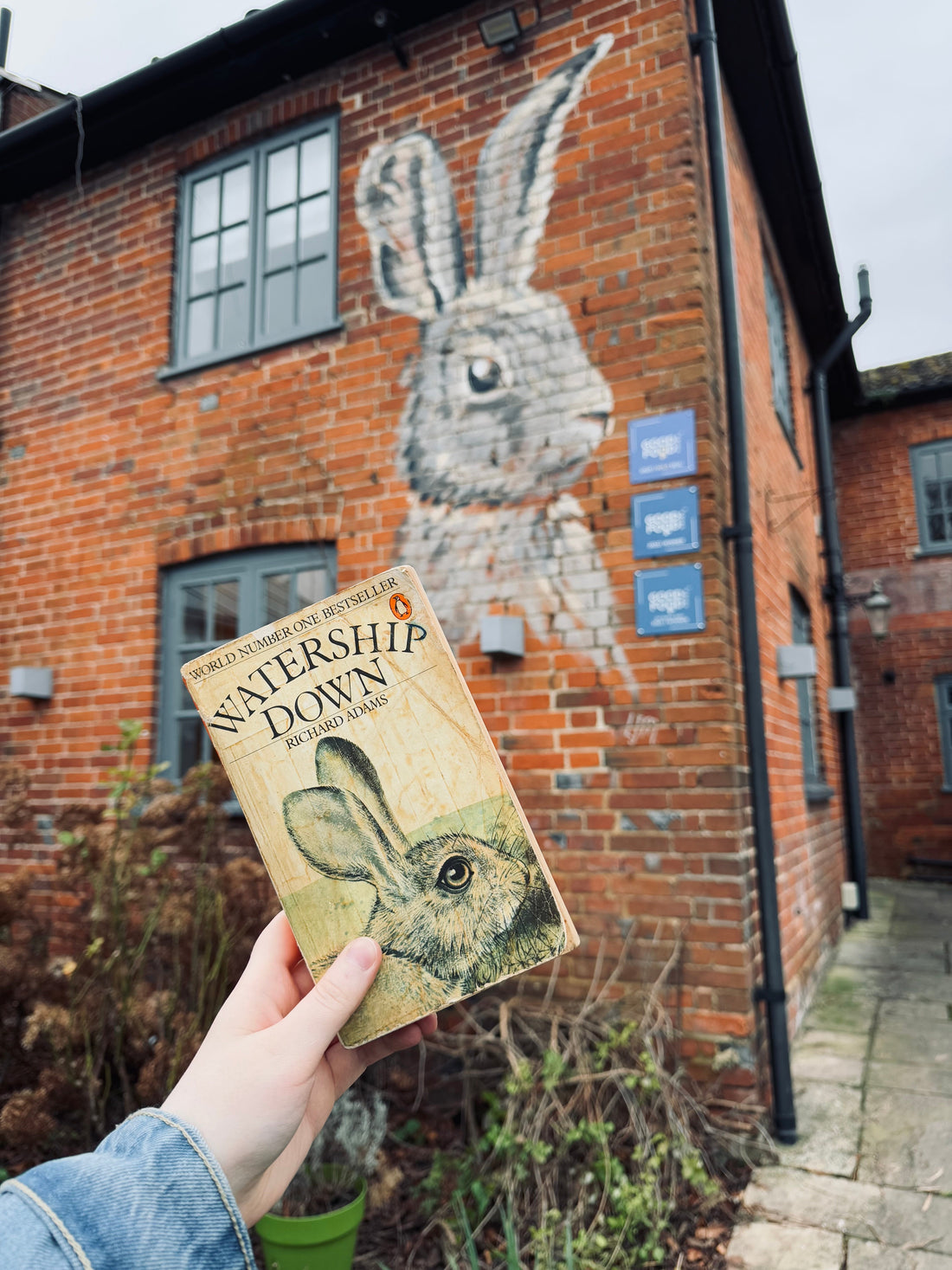 A photo of my hand holding a copy of “Watership Down” in front of The Watership Down Inn’s rabbit-themed at (situated on the outside of the building).