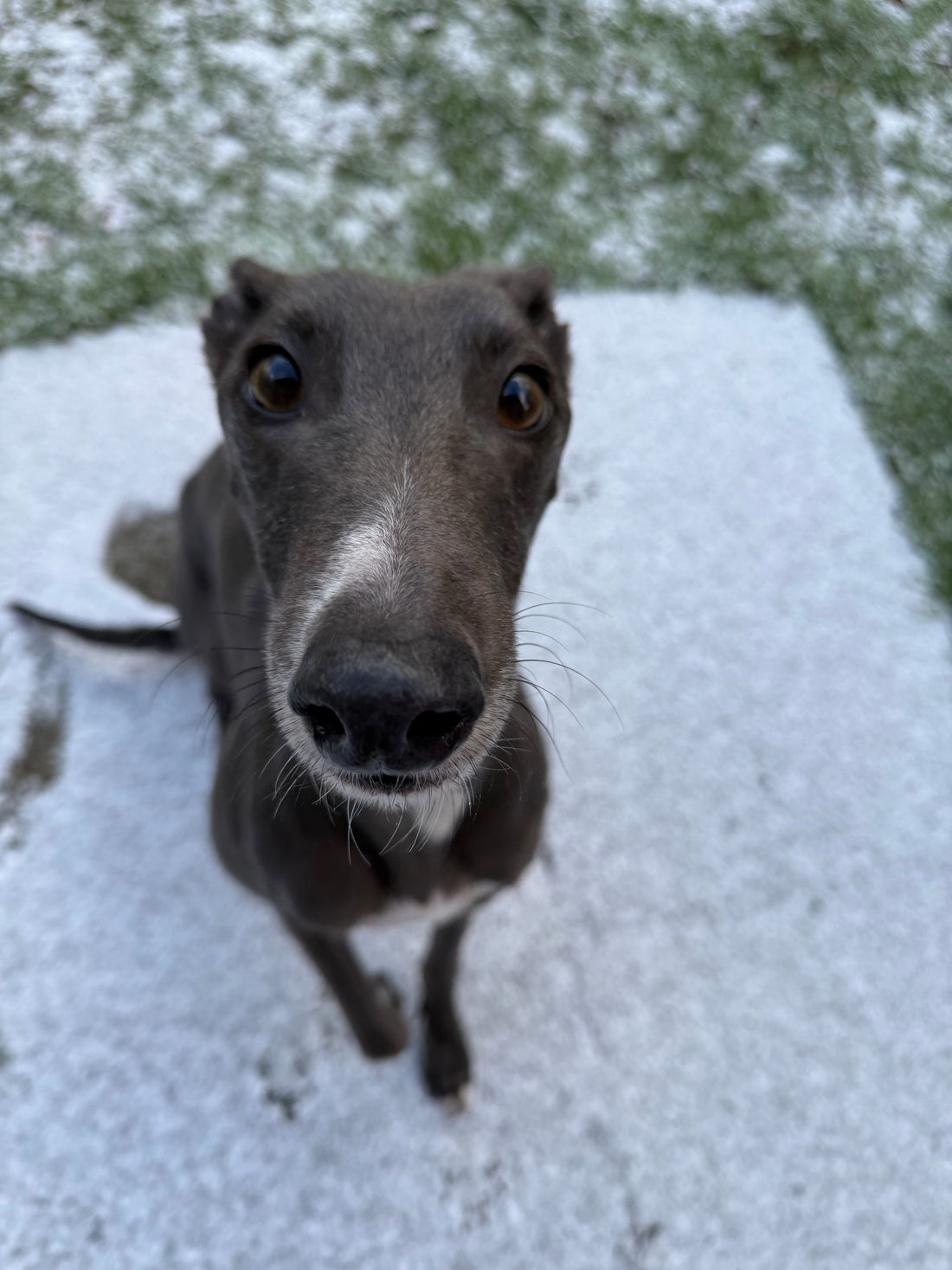 So… “New Year” is Very Overrated…