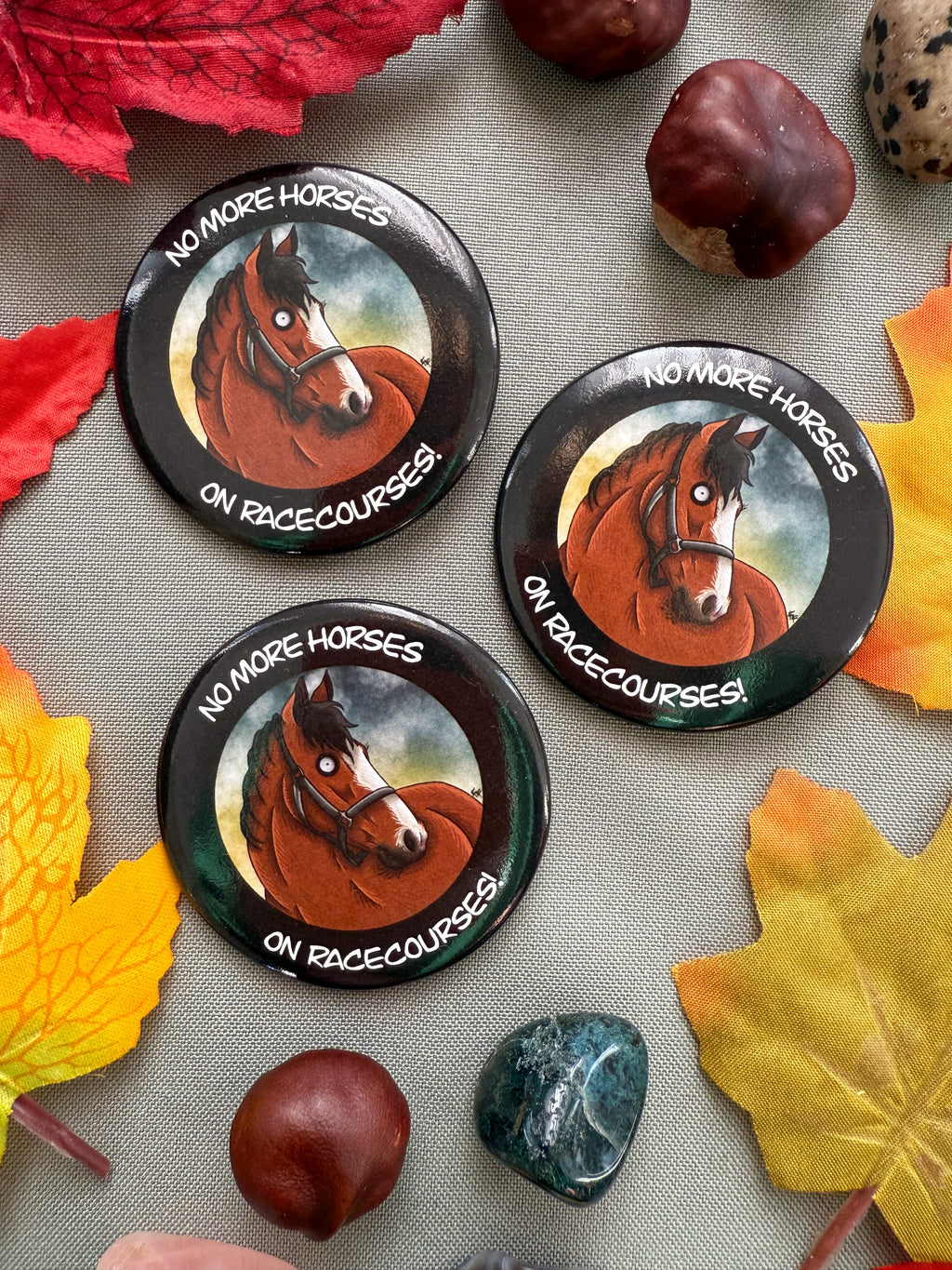 Anti-Horse Racing Button Badge